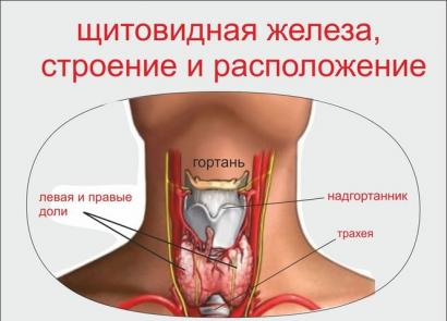 Tipos de glándula tiroides agrandada